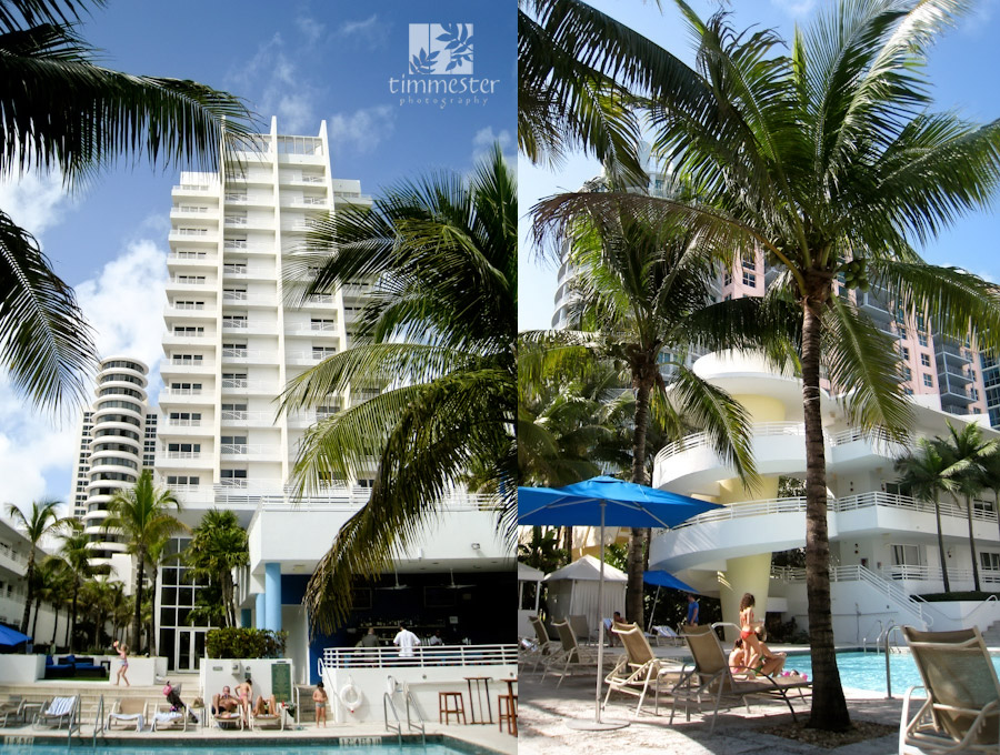miami-6 miami-6