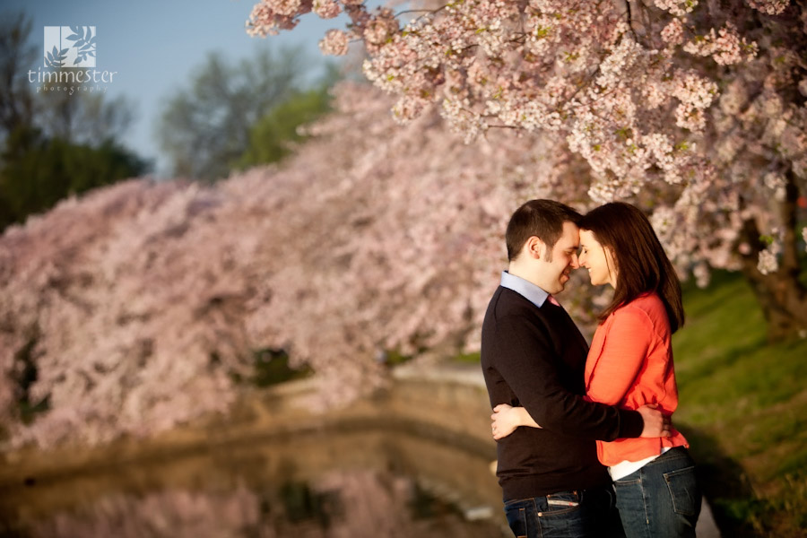 cherry-blossom-engagement-14