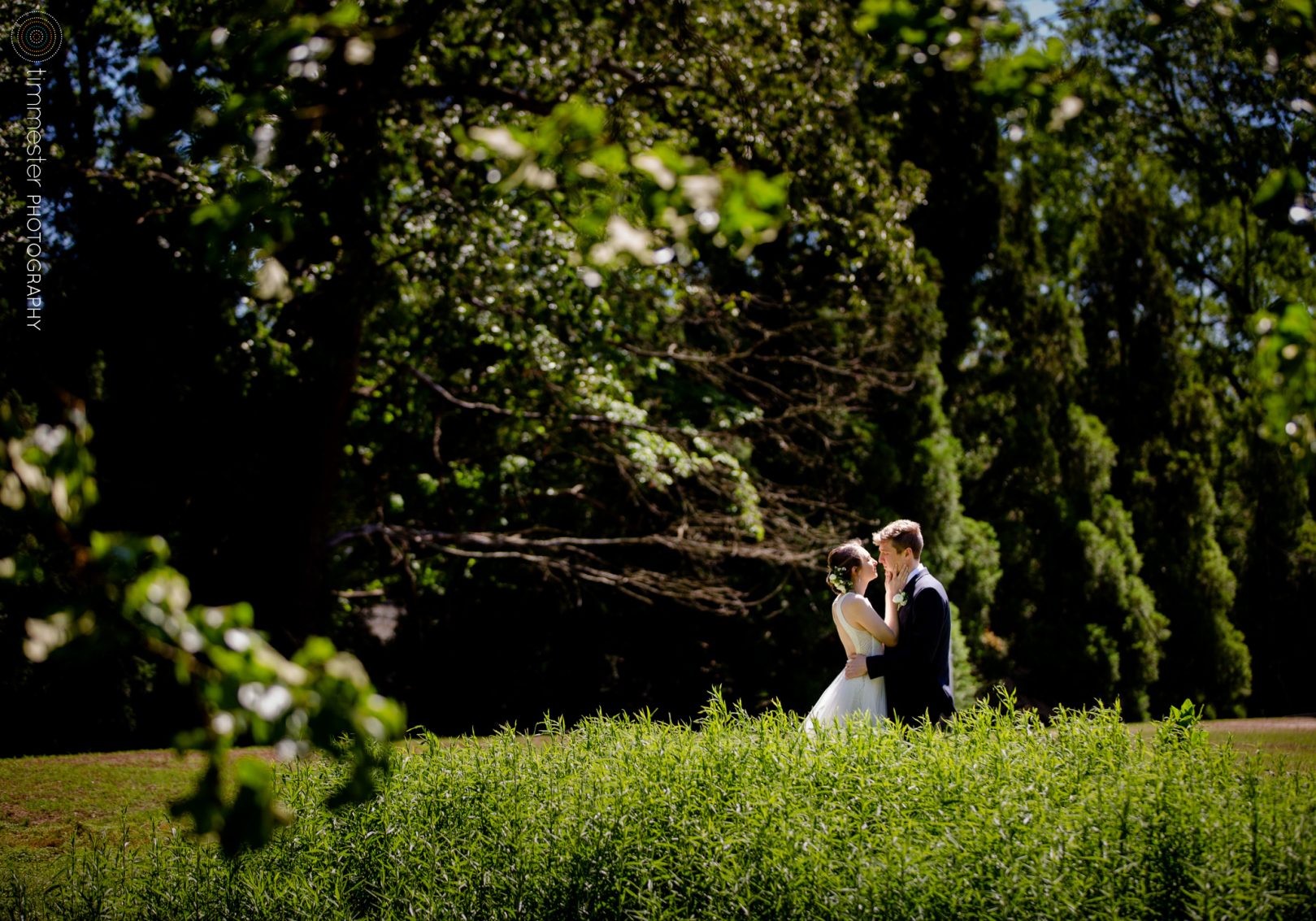 Portraits of bride & groom Sarah & Jacob for their outdoor garden ceremony at Fred Fletcher Park in Raleigh.