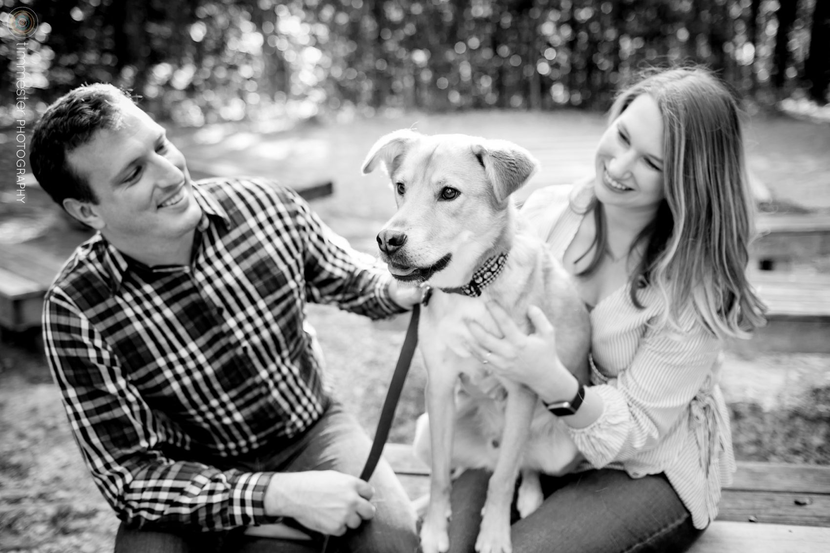 An engagement session with a puppy at Umstead Park in North Carolina.