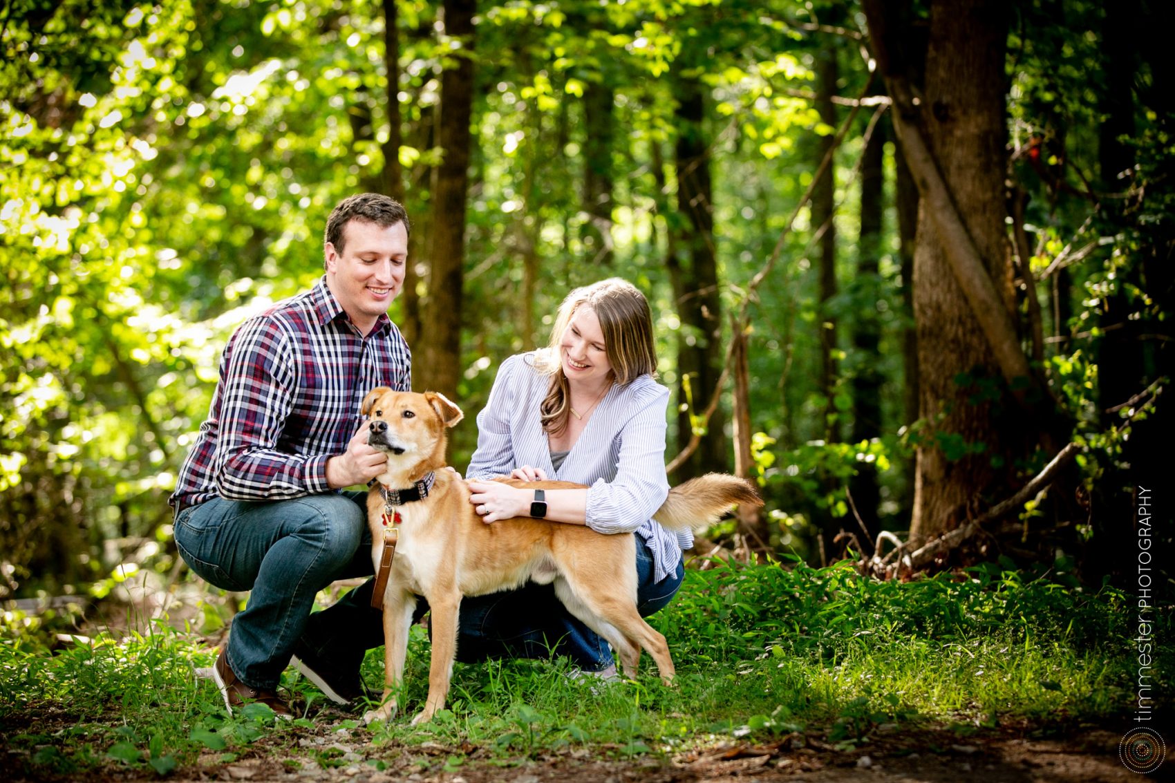 A William B. Umstead Park engagement session complete with a pup!