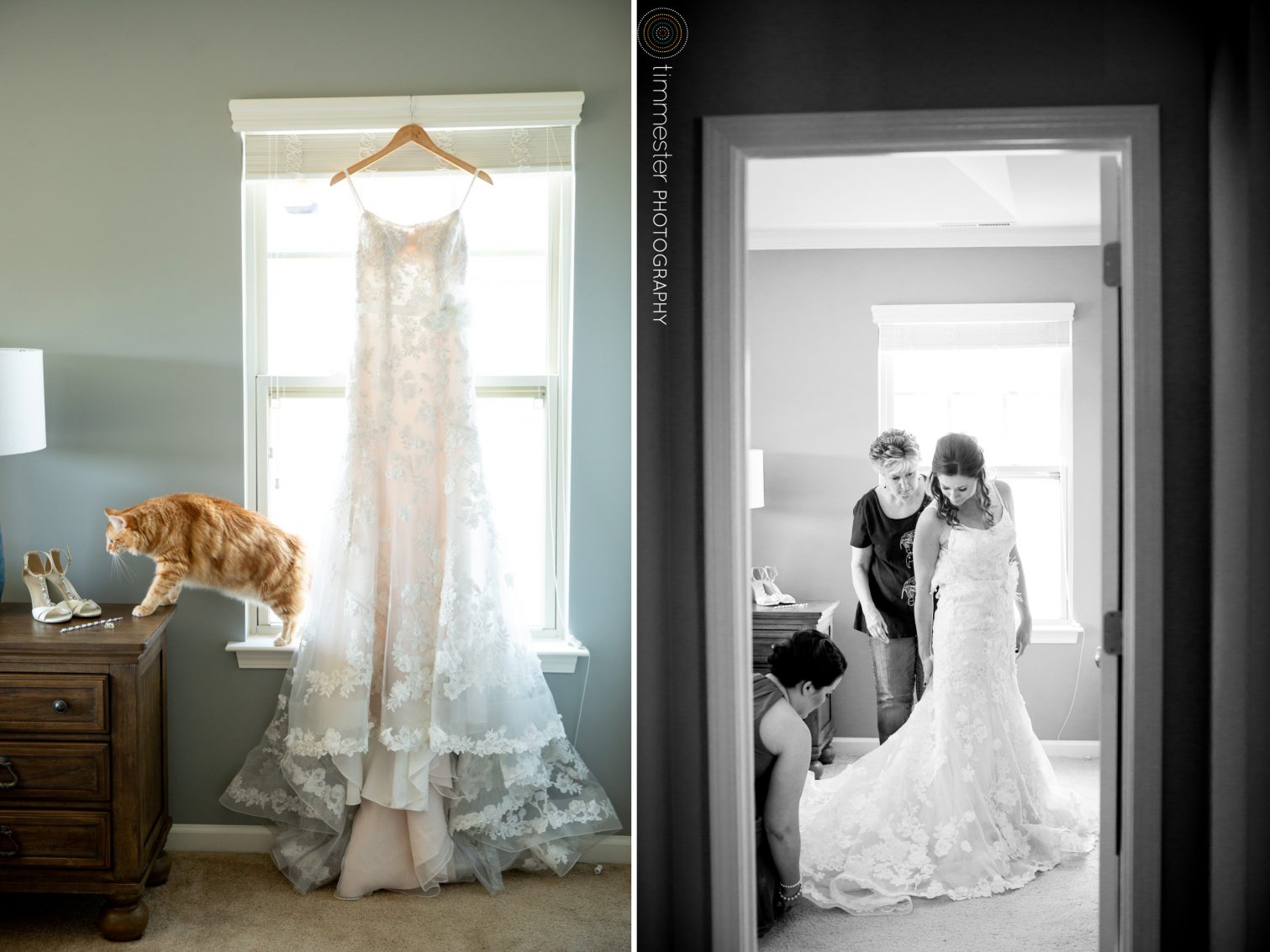 A wedding in Raleigh, NC where the couple's curious cat made an appearance!